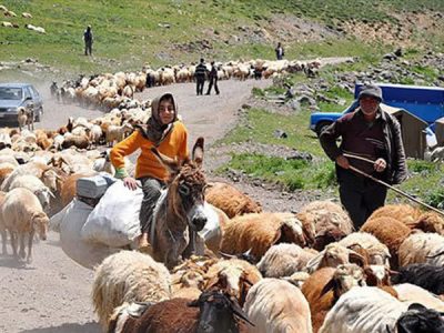 مرمت ۱۱۰ کیلومتر راه عشایری در لرستان