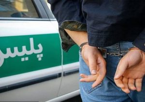 دستگیری اراذل و اوباش سابقه دار در دلفان
