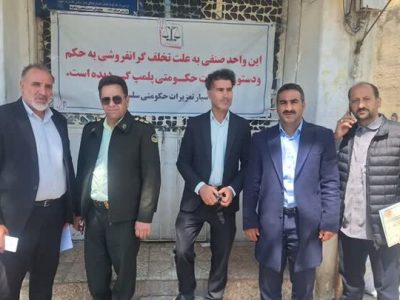اجرای طرح نظارت بر نانوایی‌های سلسله