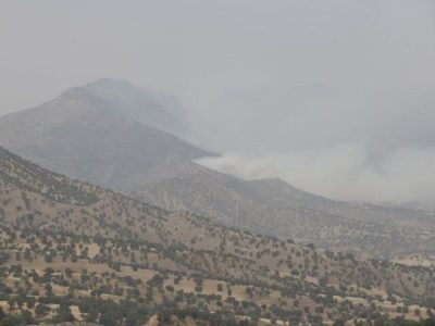 محکومیت عامل آتش‌سوزی جنگل‌های چگنی لرستان