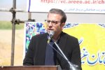 کاشت ۱۶۰ هکتار آفتاب‌گردان در دورود