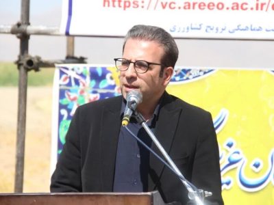 کاشت ۱۶۰ هکتار آفتاب‌گردان در دورود